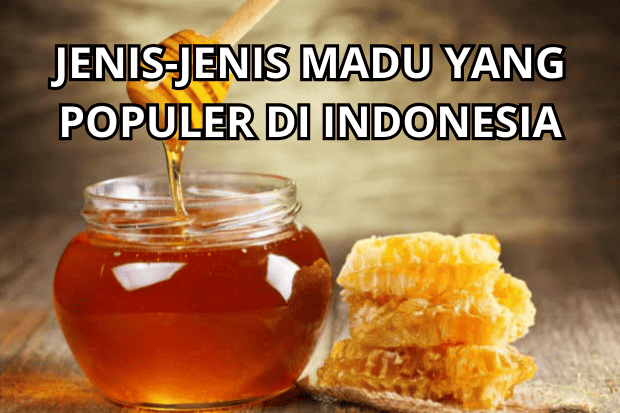 Jenis-jenis madu yang populer di Indonesia