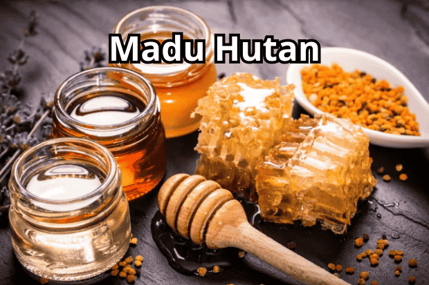 Madu Hutan
