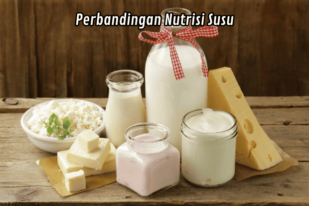 Perbandingan Nutrisi Susu