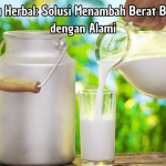 Susu Herbal Solusi Menambah Berat Badan dengan Alami