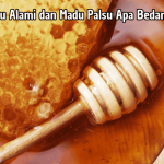 Madu Alami dan Madu Palsu Apa Bedanya?