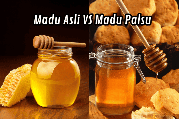 Madu Asli Vs Madu Palsu