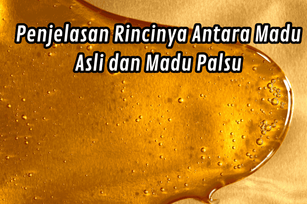 Penjelasan Rincinya Antara Madu Asli dan Madu Palsu